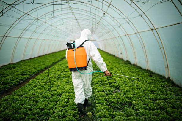 Best Best Pest Control Companies  in Deltona, FL