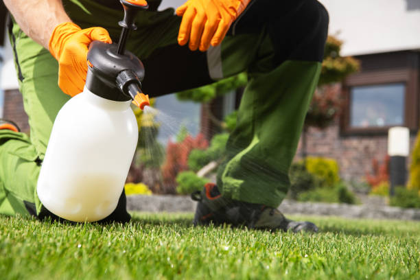 Professional Pest Control in Deltona, FL