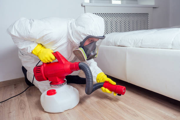 Best Best Pest Control Companies  in Deltona, FL