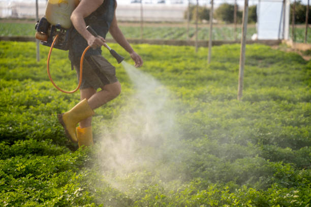 Best Pest Control Near Me  in Deltona, FL