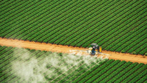 Best Termite Control Services  in Deltona, FL