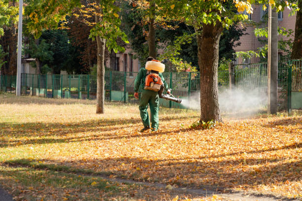Best Insect Control  in Deltona, FL