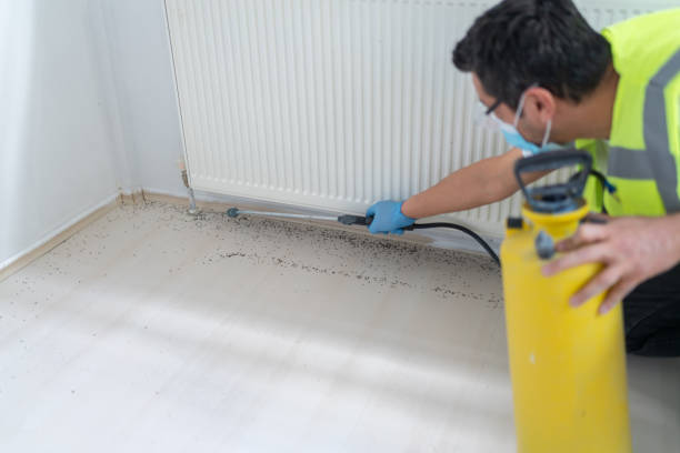Best Emergency Pest Control  in Deltona, FL
